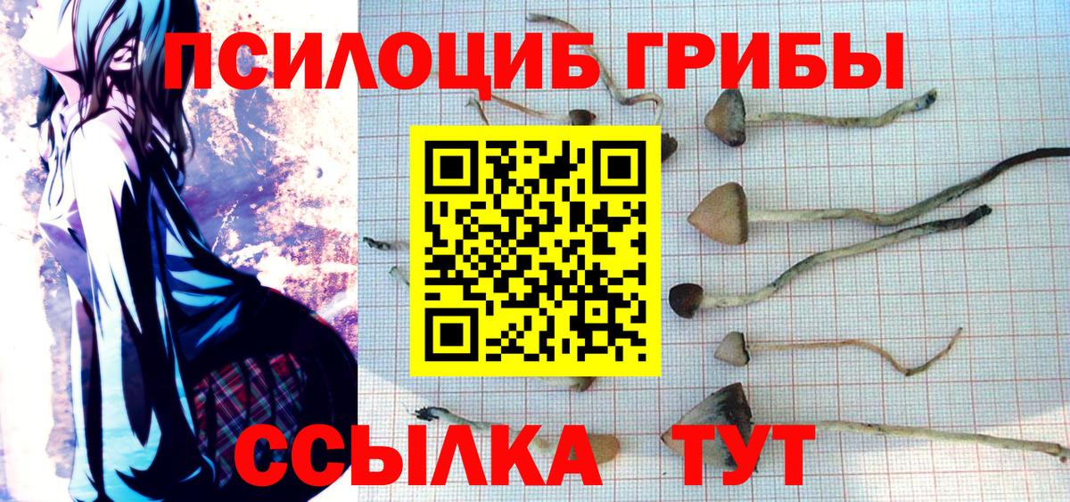 Котлас  Галлюциногенные грибы мицелий  Псилоцибиновые грибы GOLDEN TEACHER  Вход с VPN 
