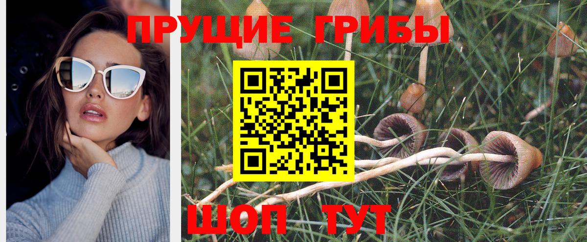 Псилоцибиновые грибы прущие грибы Котлас